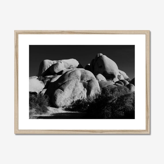 Joshua Tree Black And White Photo, Southwest Decor