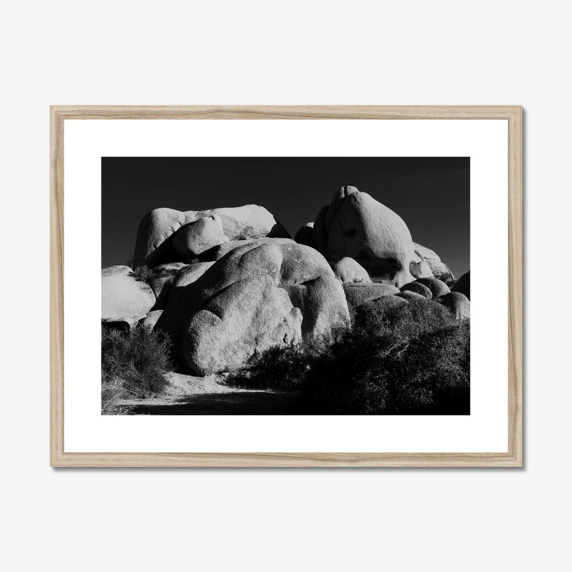 Joshua Tree Black And White Photo, Southwest Decor