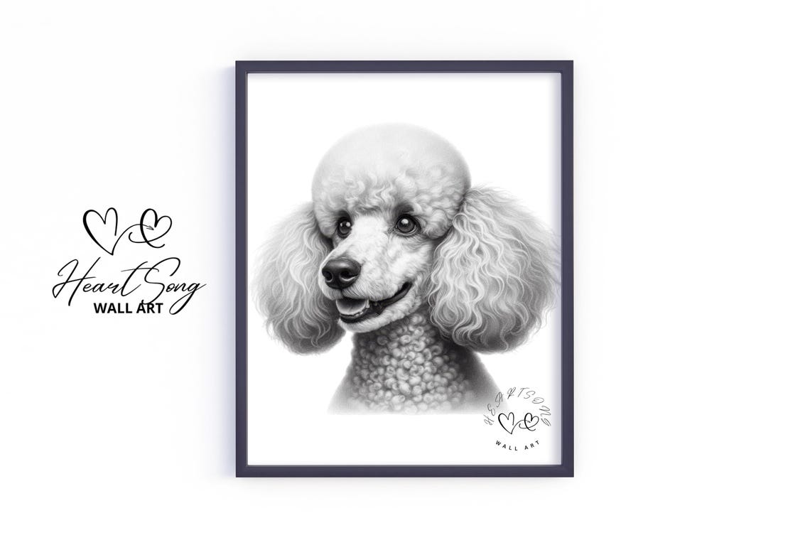 Smiling Poodle Black and White Pencil Sketch Cute Dog Portrait Poster