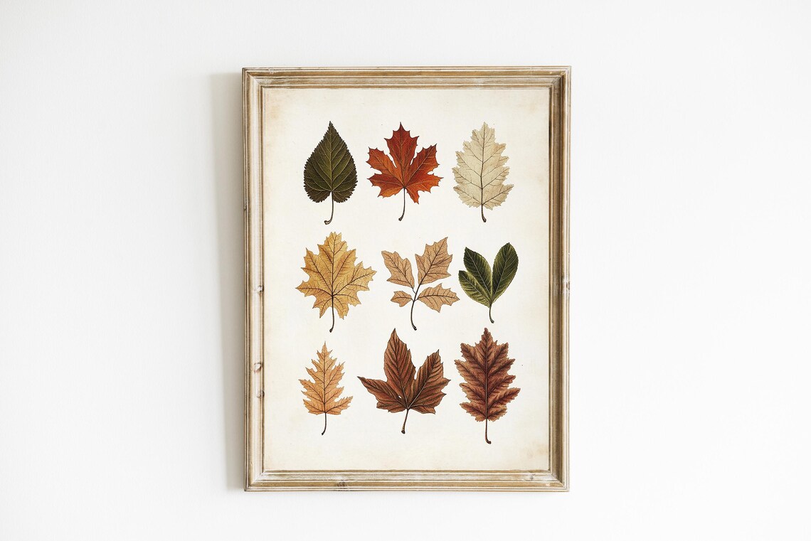 Vintage Fall Botanical Autumn Leaf Art Print
