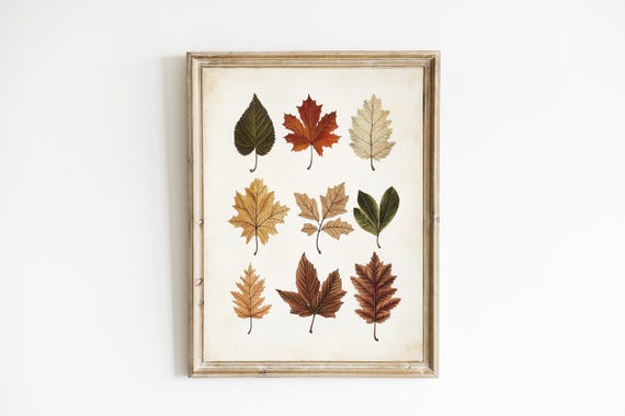 Vintage Fall Botanical Autumn Leaf Art Print