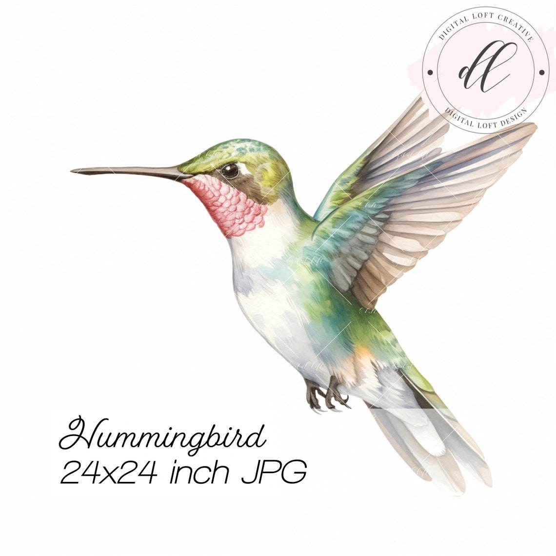 Watercolor Hummingbird in Flight with Rosy Throat Garden Bird Poster