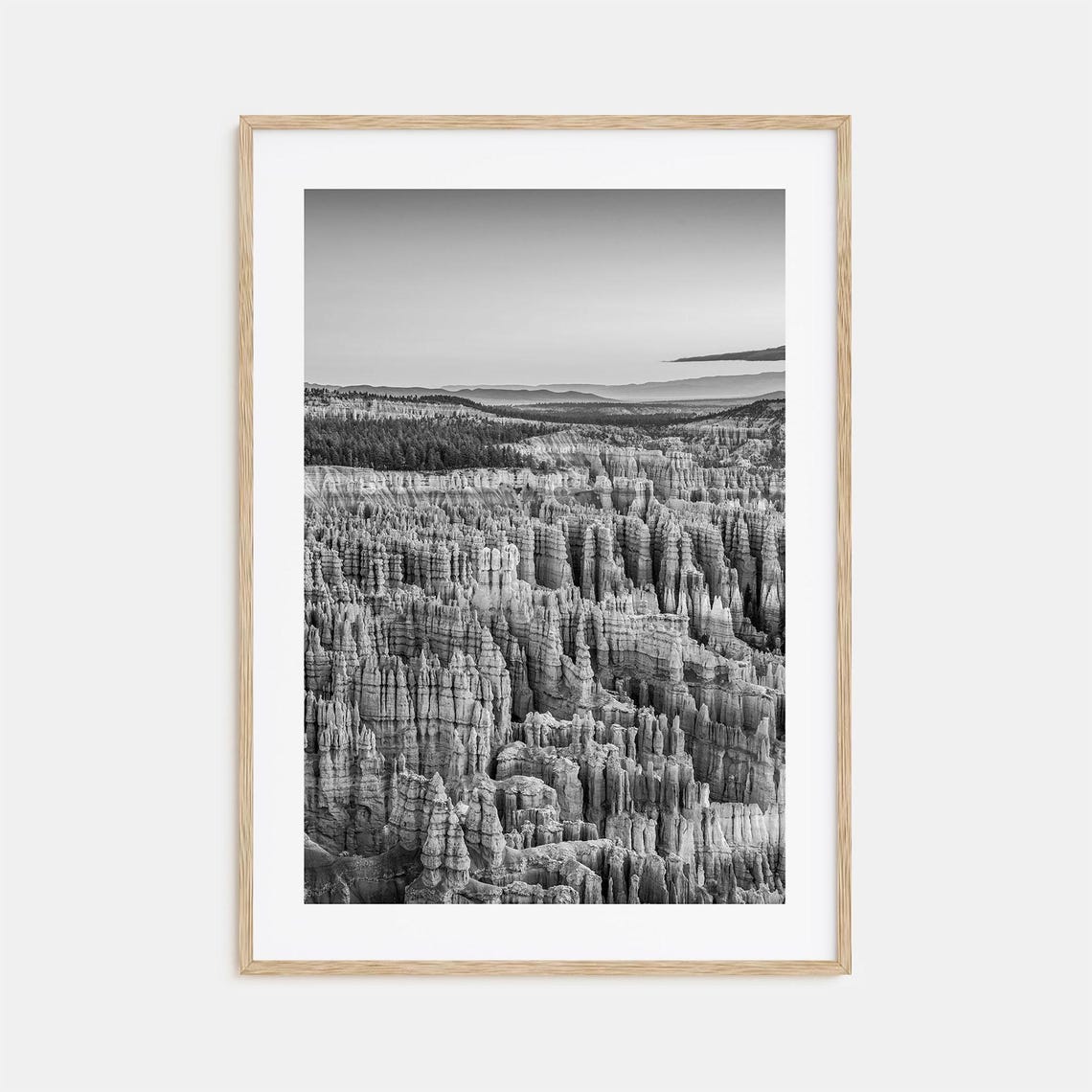 Bryce Canyon Hoodoo Amphitheater Panoramic Black and White Poster