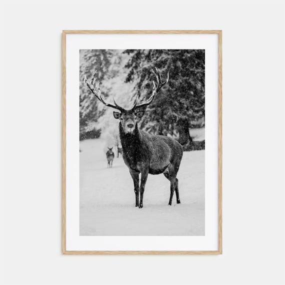 Deer Photo Poster Print Deer Black And White Wall Art Deer Wall Photography Deer Travel Deer Map Poster