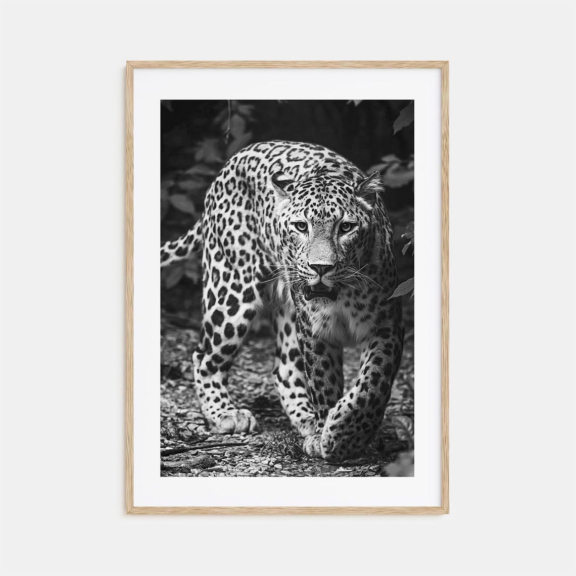 Leopard Photo Poster Print No 1 Leopard Black And White Wall Art Leopard Wall Photography Leopard Travel Leopard Map Poster