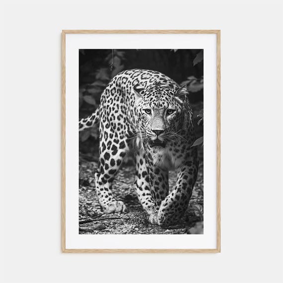 Leopard Photo Poster Print No 1 Leopard Black And White Wall Art Leopard Wall Photography Leopard Travel Leopard Map Poster