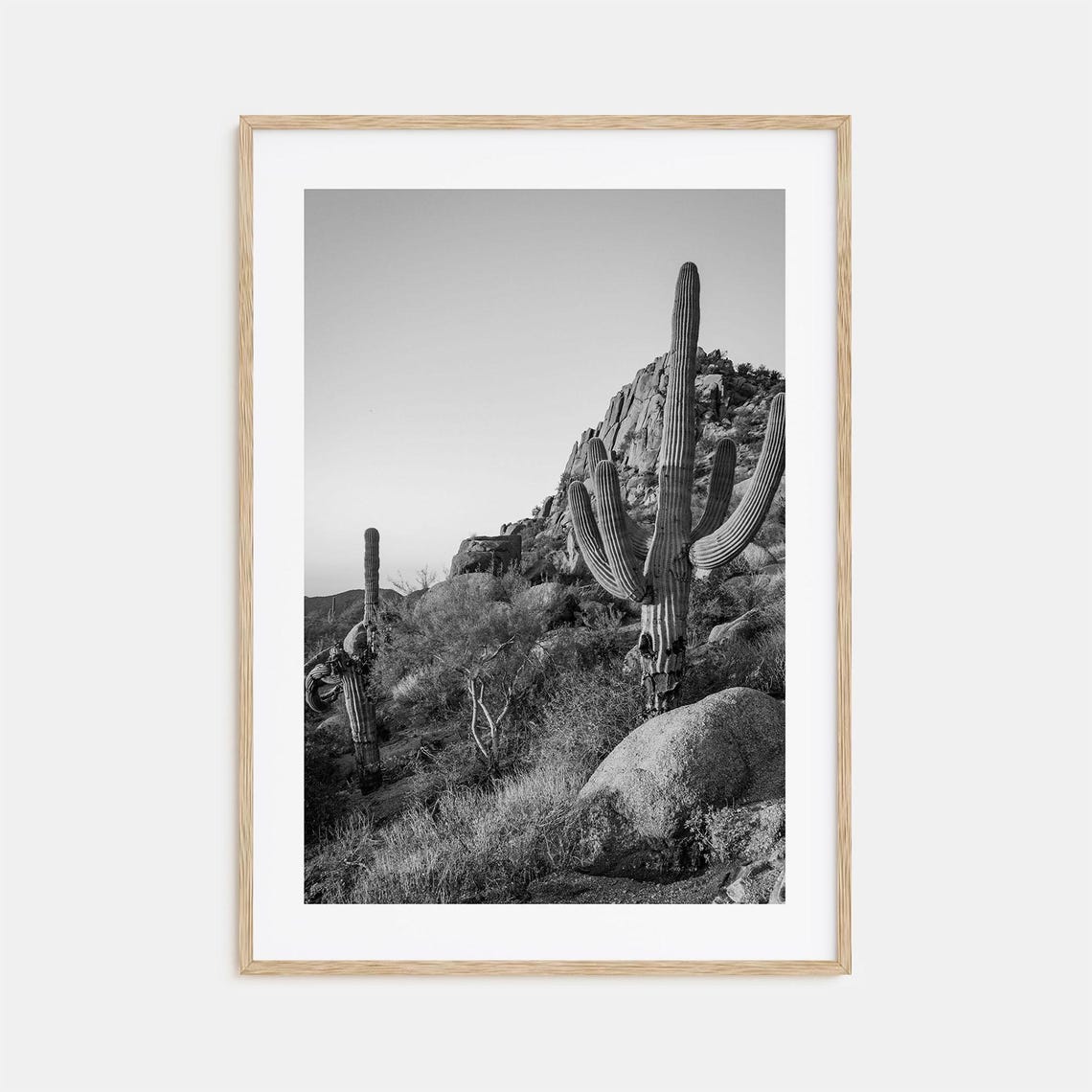 Scottsdale Saguaro Cactus Rocky Desert Black And White Poster