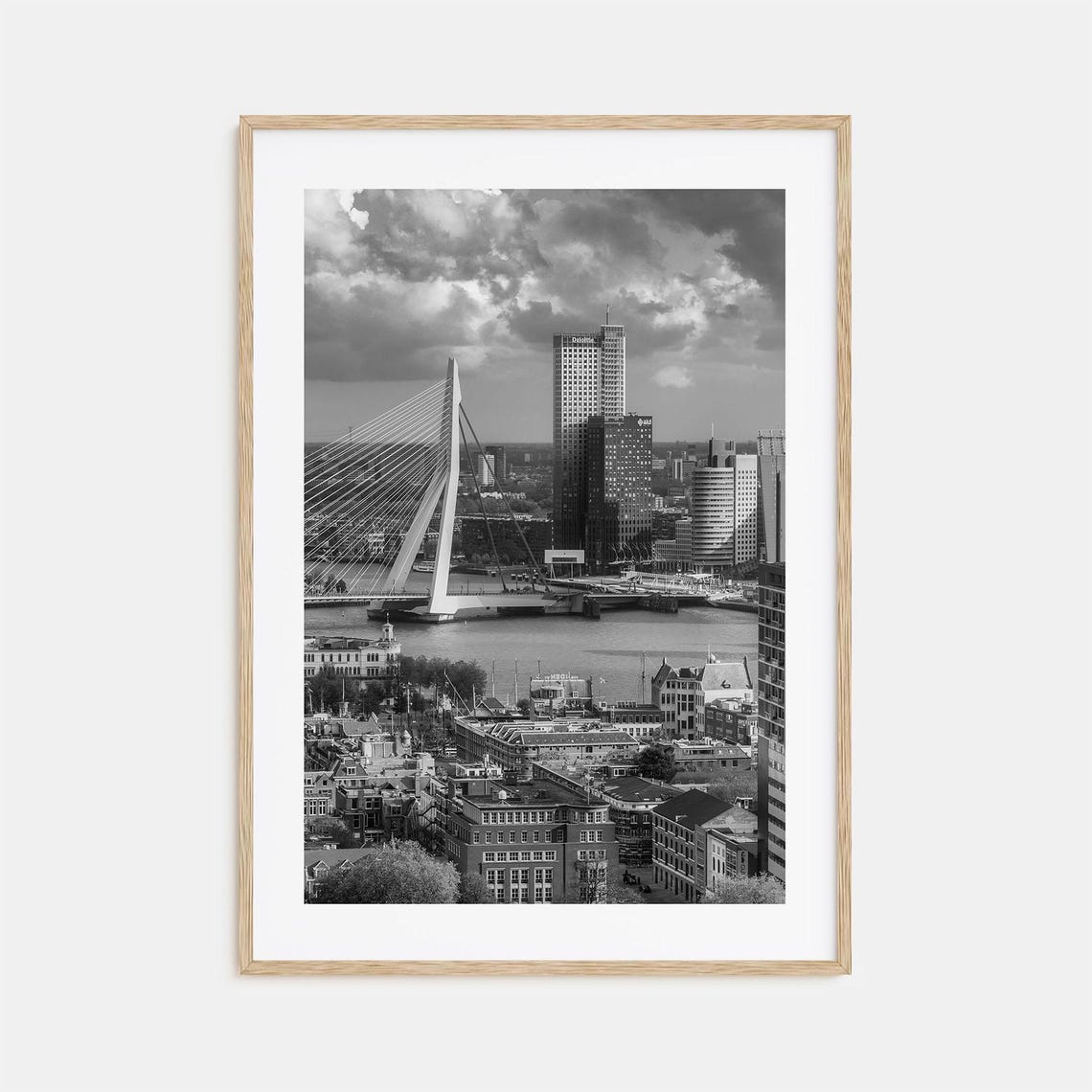 Rotterdam Erasmus Bridge Black And White Netherlands Harbor Poster