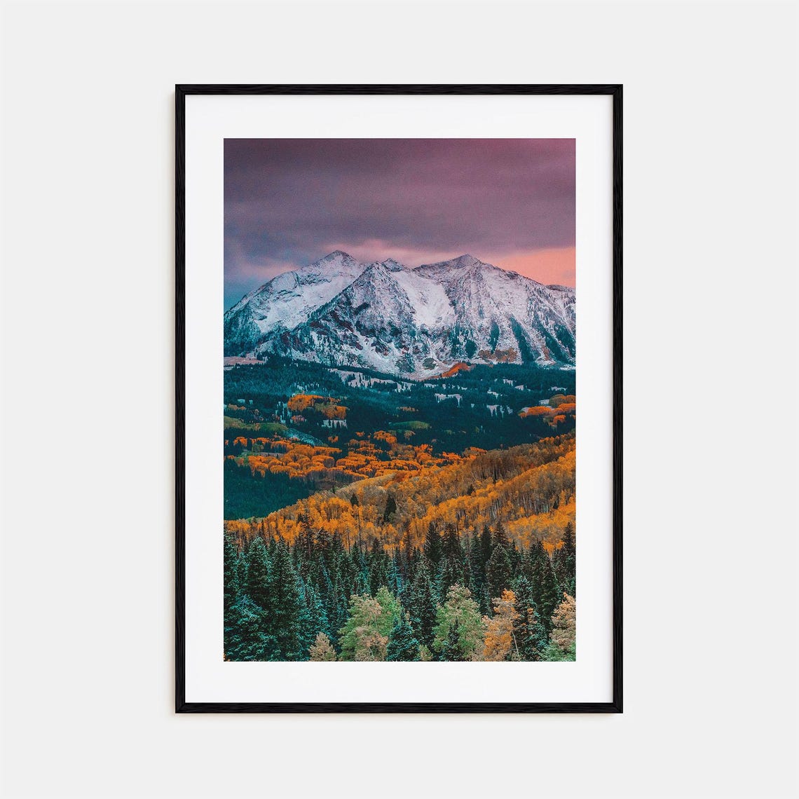 Snowy Peaks Above Golden Autumn Aspen Forest at Dusk Mountains Print