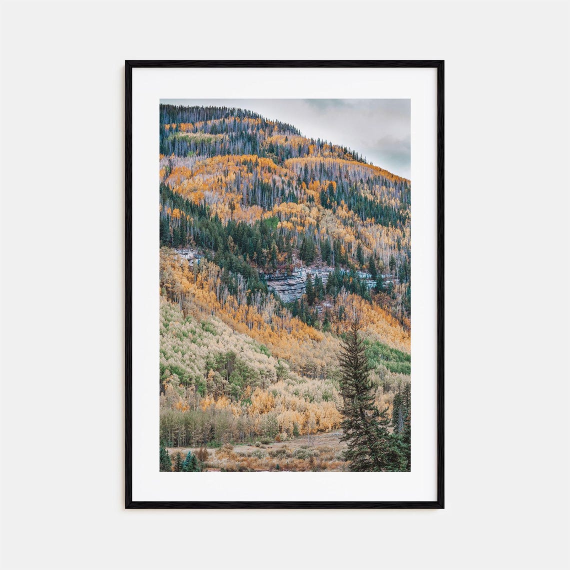 Vail Colorado Fall Aspen Mountainside Landscape Photo Poster