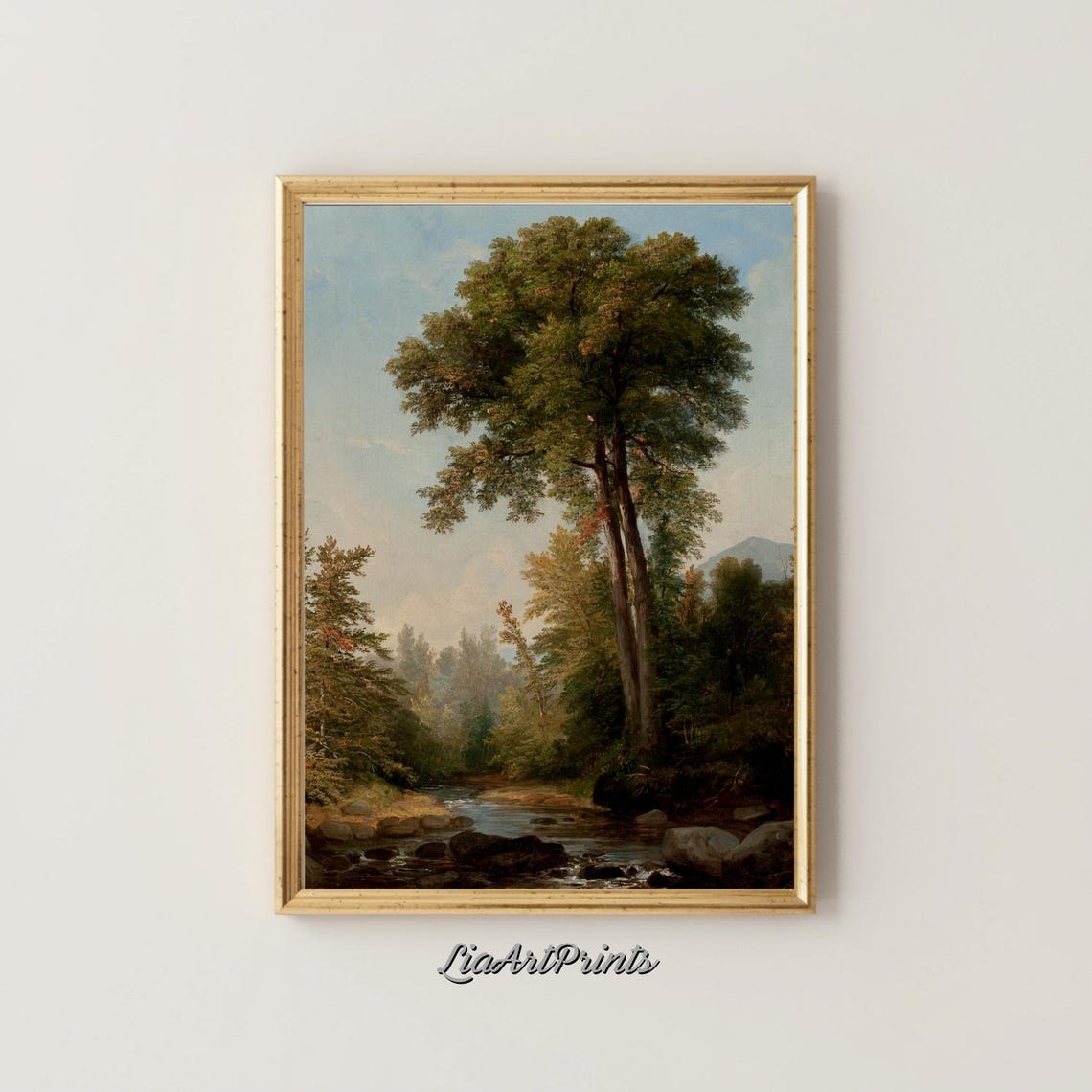 Majestic Tall Forest Trees beside a Rocky Woodland Stream Poster - Image 4