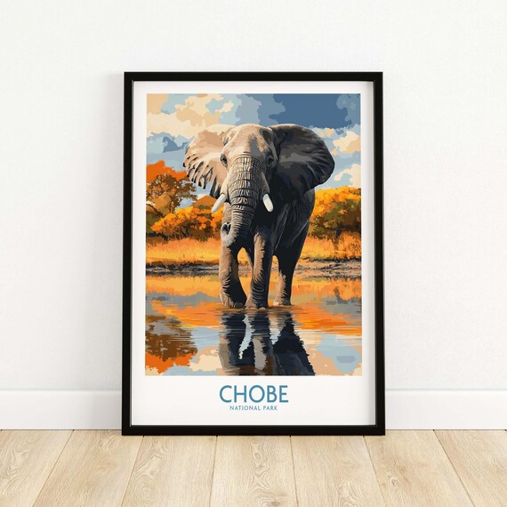 Chobe National Park African Elephant at Waterhole Wildlife Poster