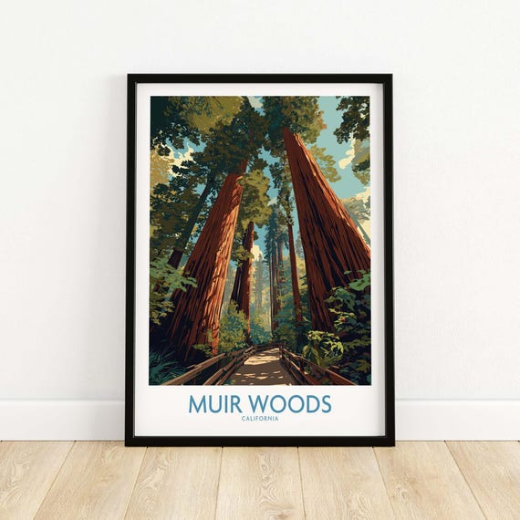 Muir Woods Poster Nature Print Of Redwoods Forest Landscape Wall Art For Lovers And Home Decor