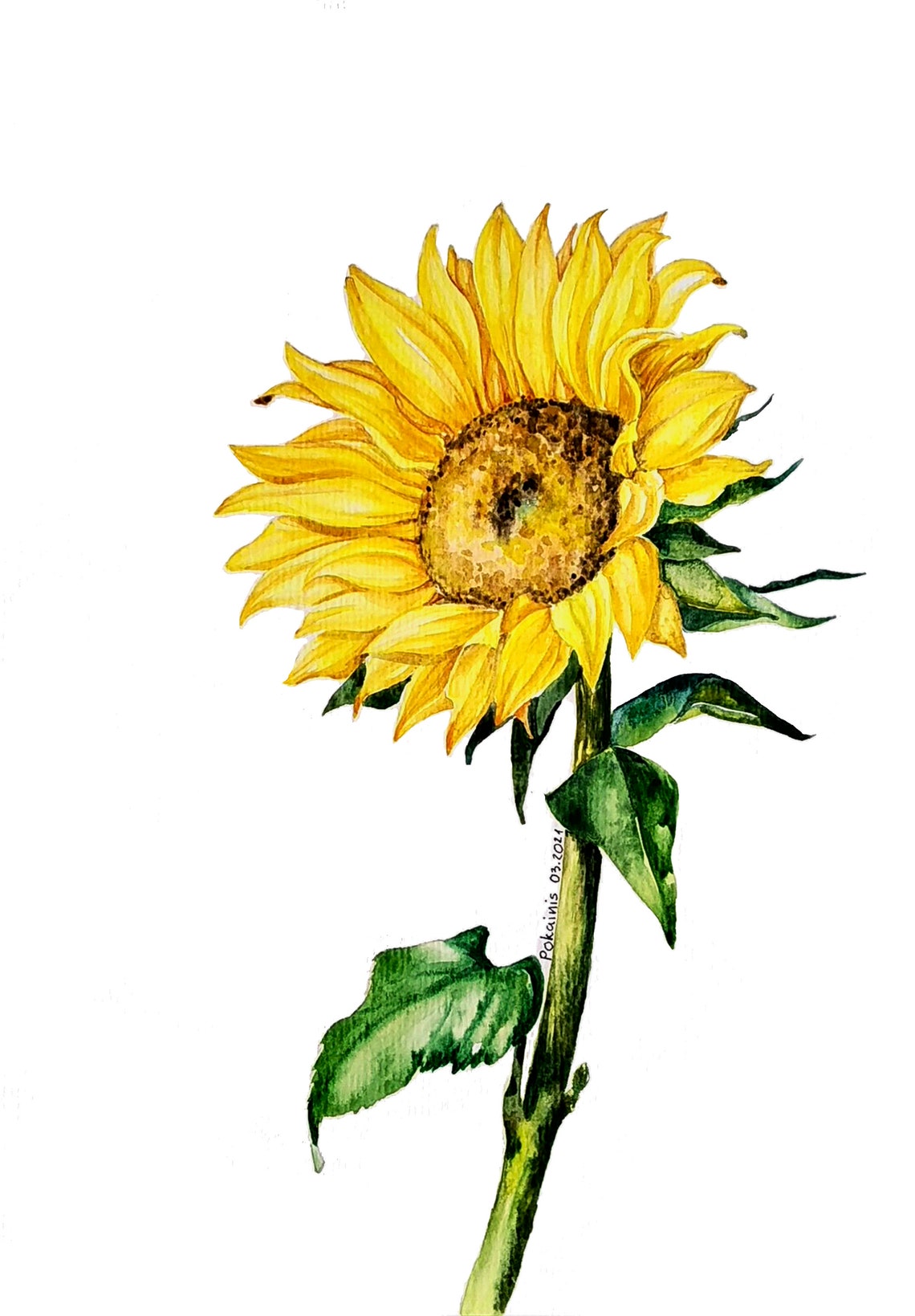 Single Sunflower Watercolor Yellow Summer Bloom Floral Poster