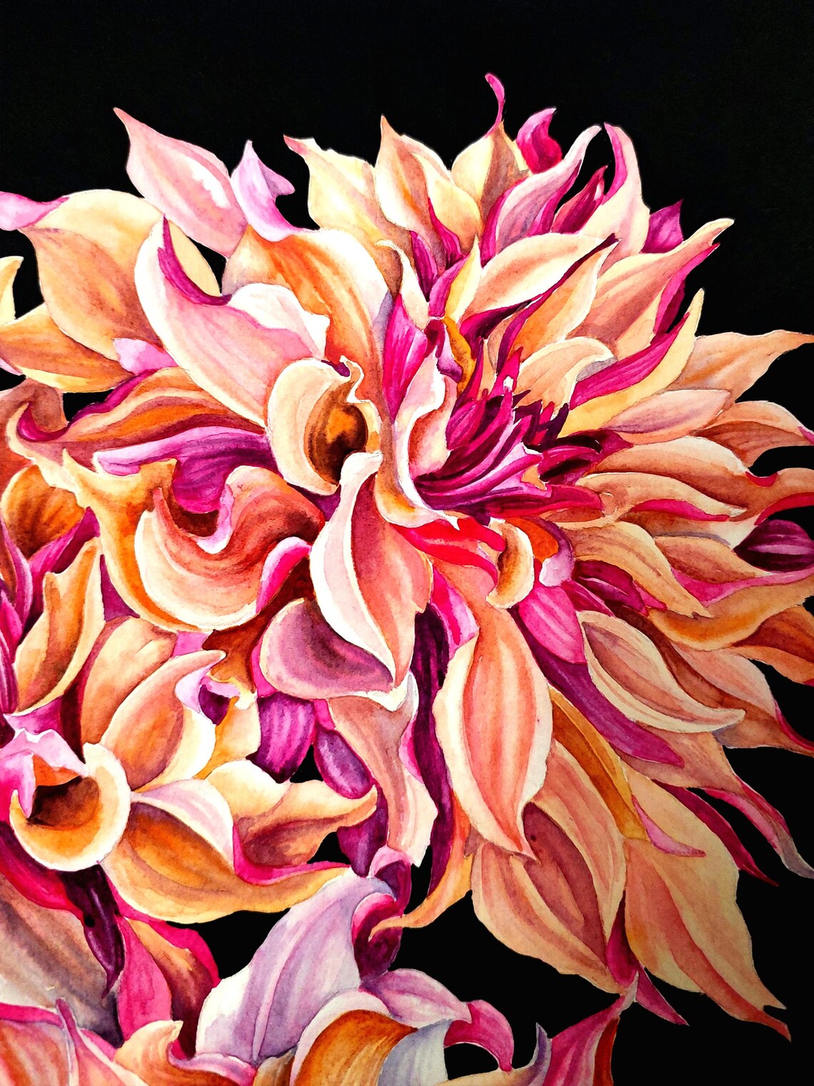Pink Dahlia Trio Watercolor Floral on Black Background Poster - Image 2