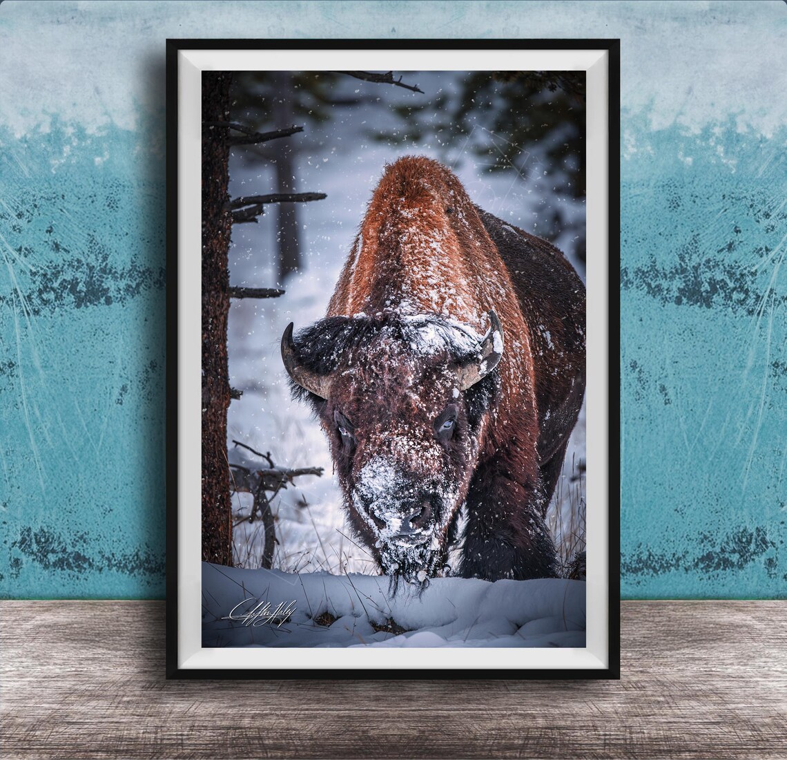 Bison Canvas Print Winter Wildlife Scene Hand Signed Artwork