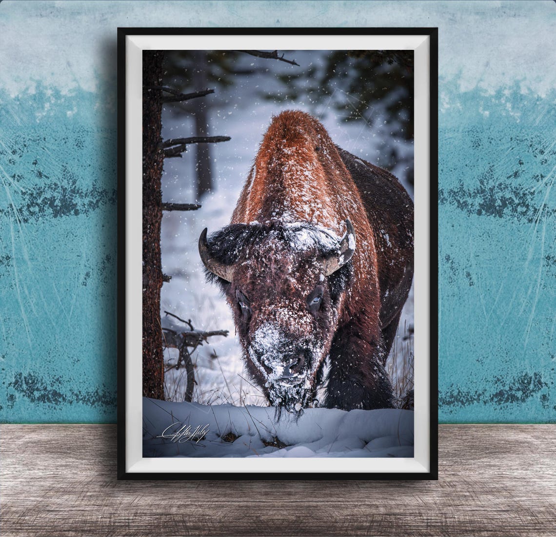 Snowy Bison Walking Toward Viewer In Falling Snow Winter Poster
