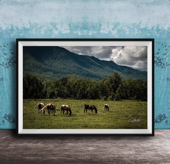 Wild Horses Grazing Green Mountain Valley Landscape Scene Poster