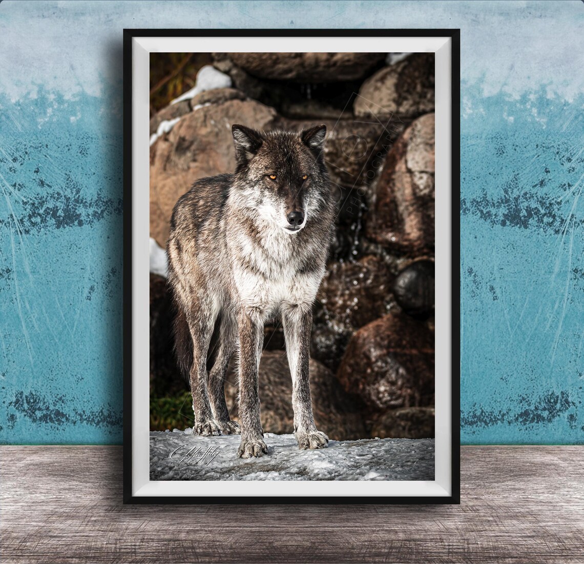 Gray Wolf Wall Art Wildlife Photography On Canvas