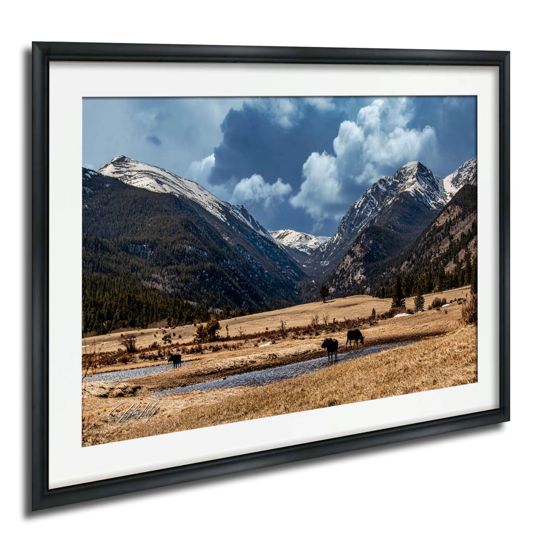 Moose In Snowy Mountain Valley Winter Wildlife Photography Print