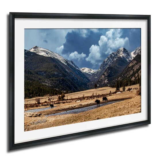 Moose Wall Art Pine Trees Snowy Landscape Canvas Or Metal Print