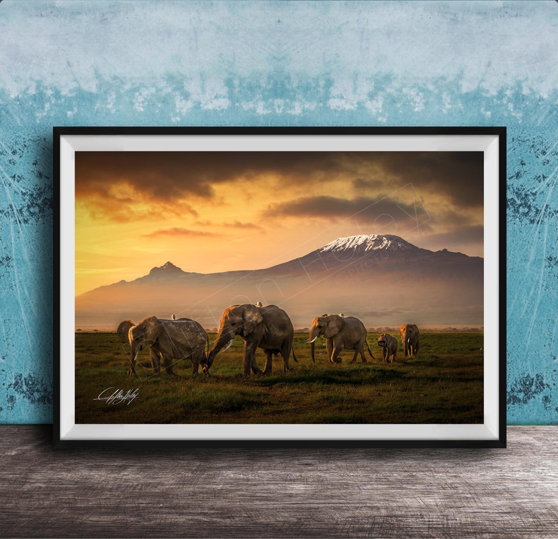Elephants Crossing Plains Kilimanjaro Sunrise Safari Photo Poster
