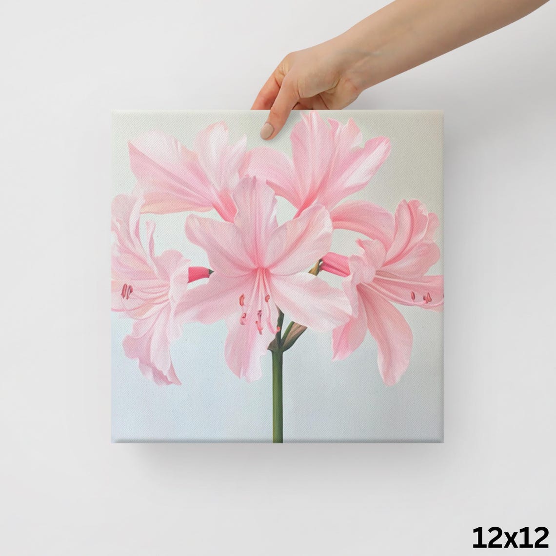 Pink Nerine Lily Flowers Cluster Soft White Floral Art Poster - Image 2