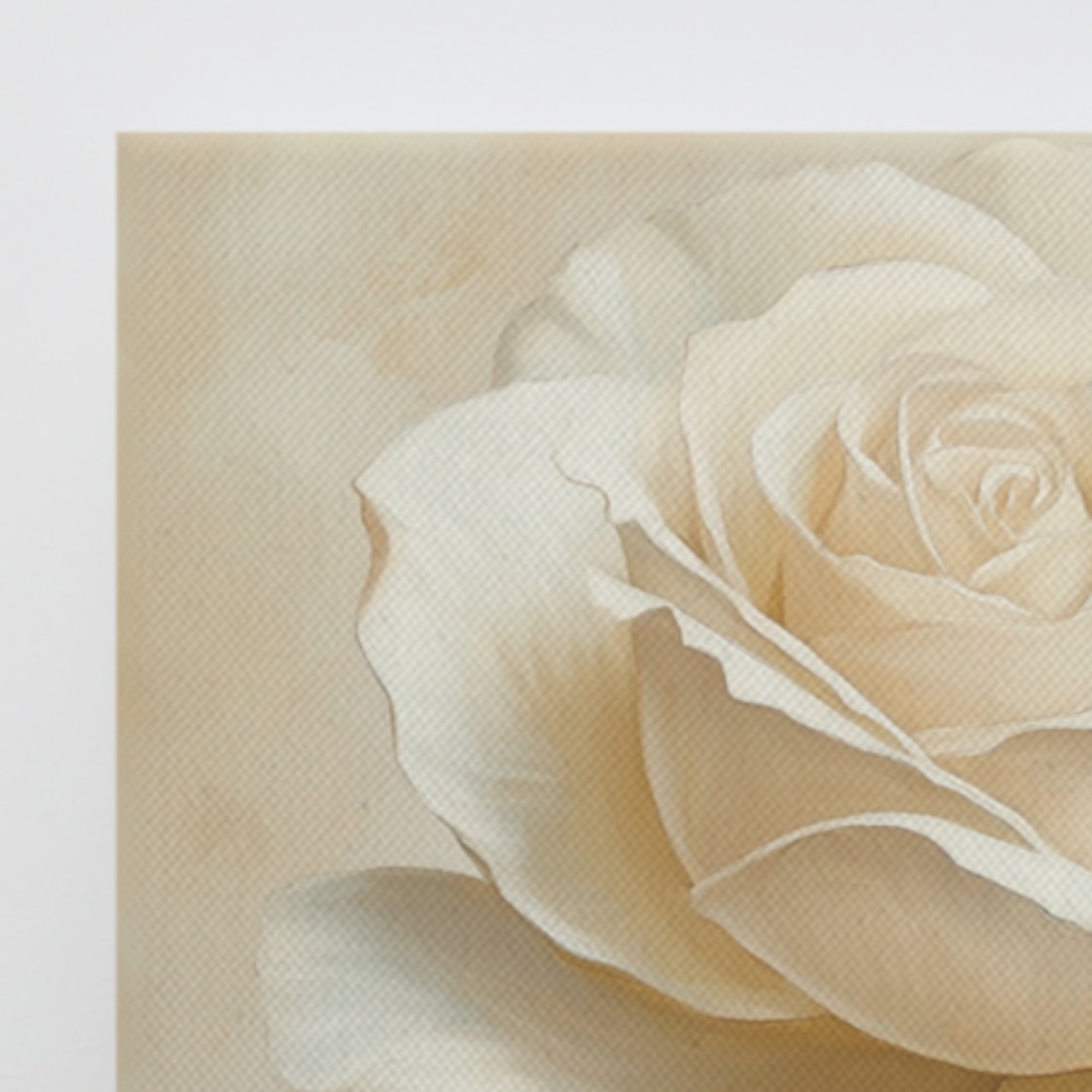 White Rose Bloom Close Up Cream Petals Painting Print Poster - Image 2