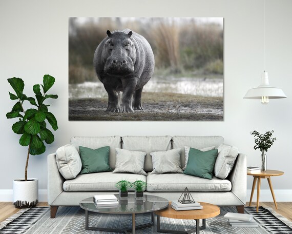 Hippopotamus African Safari Animal Wildlife Portrait Gray Hippo Wall Poster