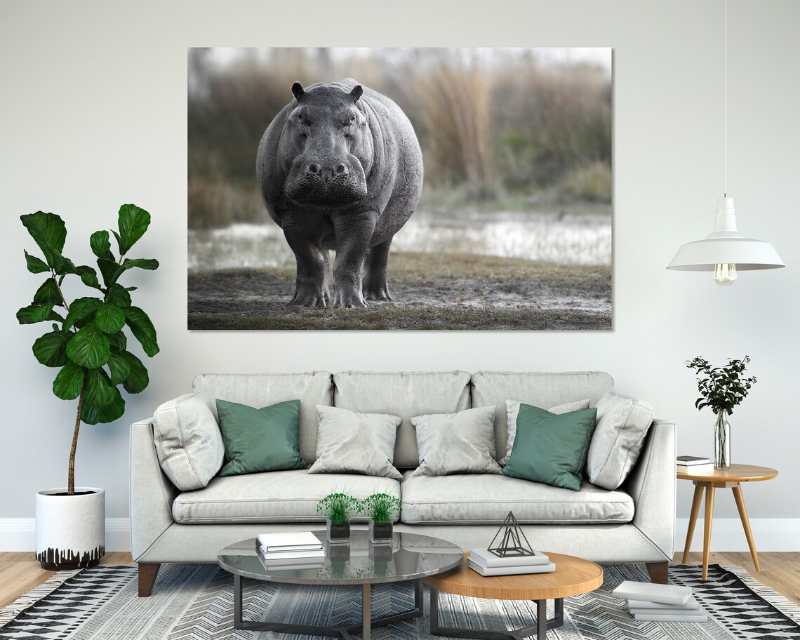 Hippopotamus African Safari Animal Wildlife Portrait Gray Hippo Wall Poster