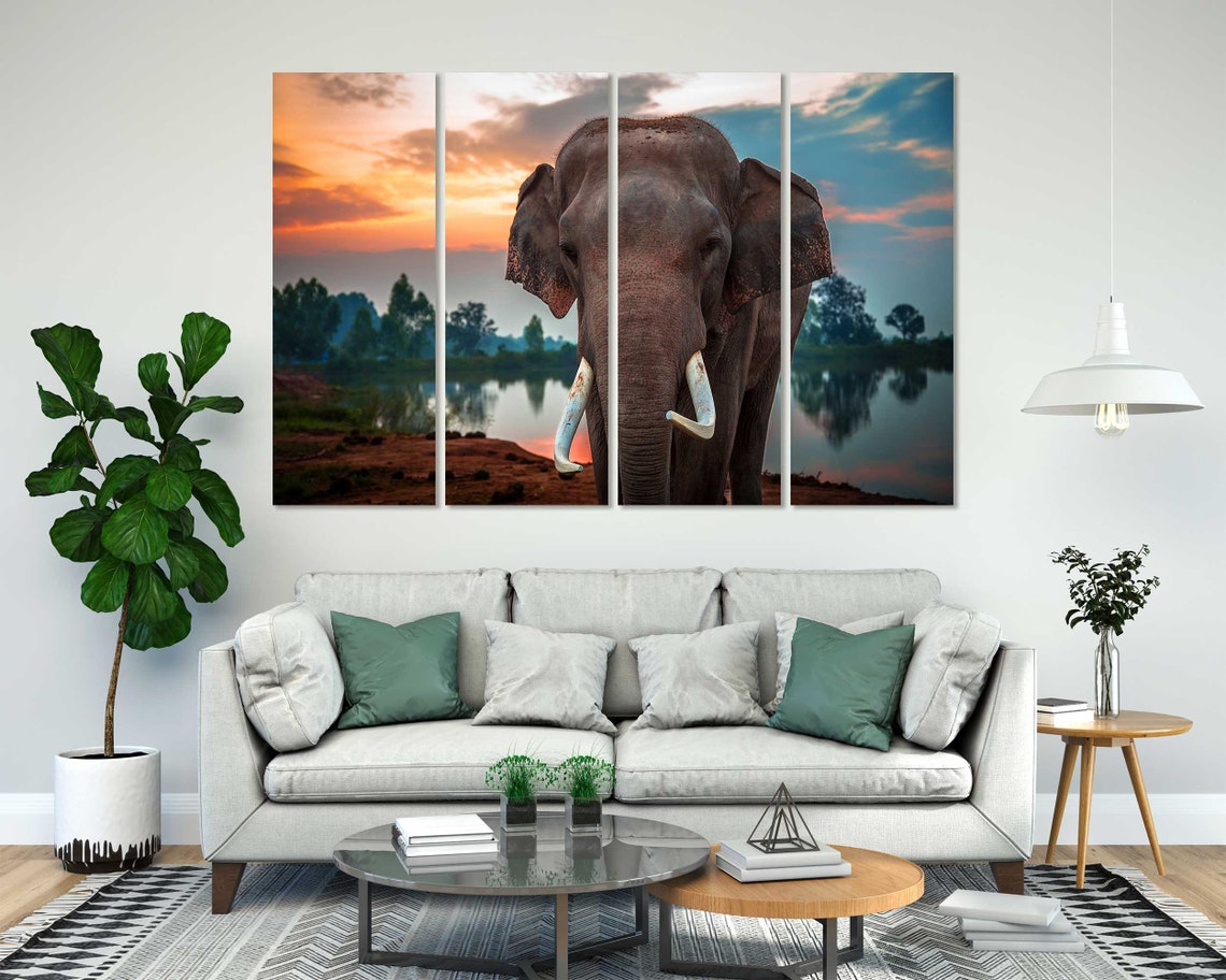 Elephant With Tusks At Sunset By The Lake Wildlife Photo Poster - Image 7