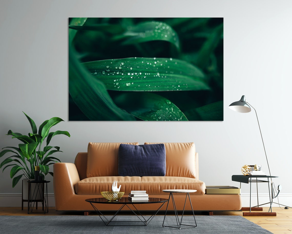 Morning Dew Drops on Green Leaves Fresh Botanical Macro Nature Poster