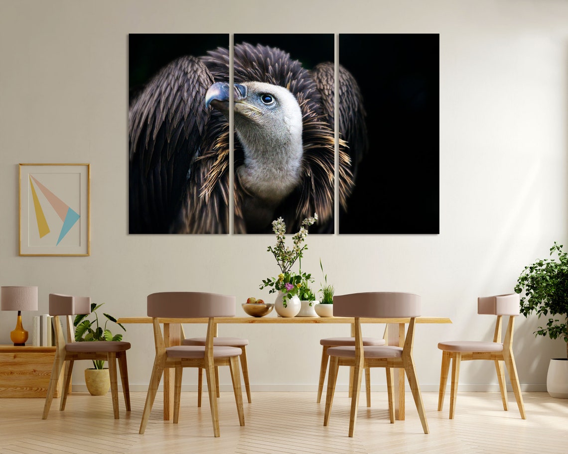 Griffon Vulture Portrait Three Panel Dramatic Bird of Prey Art Poster