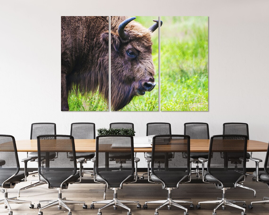 Bison Buffalo Closeup Portrait Wild Animal Wildlife Art Print - Image 4