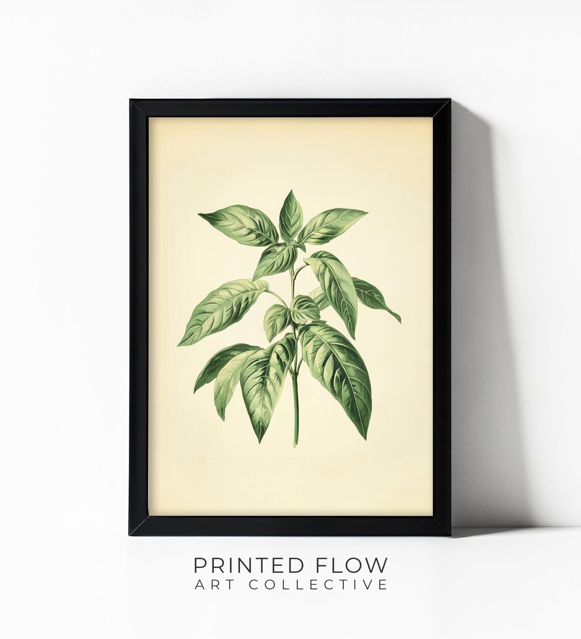 Basil Minimalist Botanical Kitchen Herb Art Print