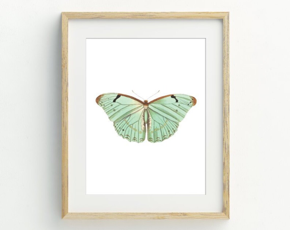 Butterfly Butterfly Minimalist Art Print, Pastel Decor