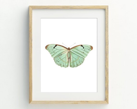 Butterfly Butterfly Minimalist Art Print, Pastel Decor