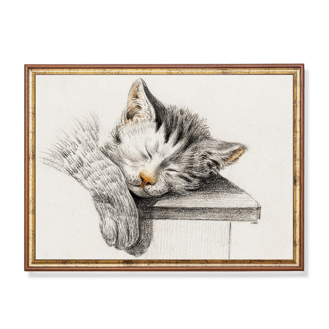 Sleeping Kitten Resting on a Wooden Box Charcoal Sketch Poster