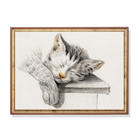 Sleeping Kitten Resting on a Wooden Box Charcoal Sketch Poster