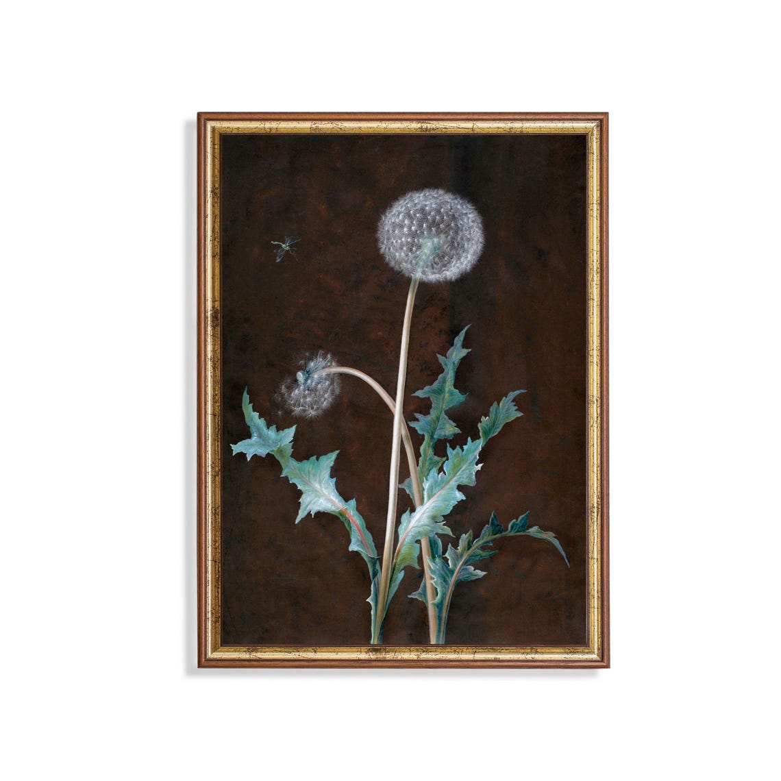 Wild Dandelion Seed Head Moody Botanical Dark Floral Wall Poster