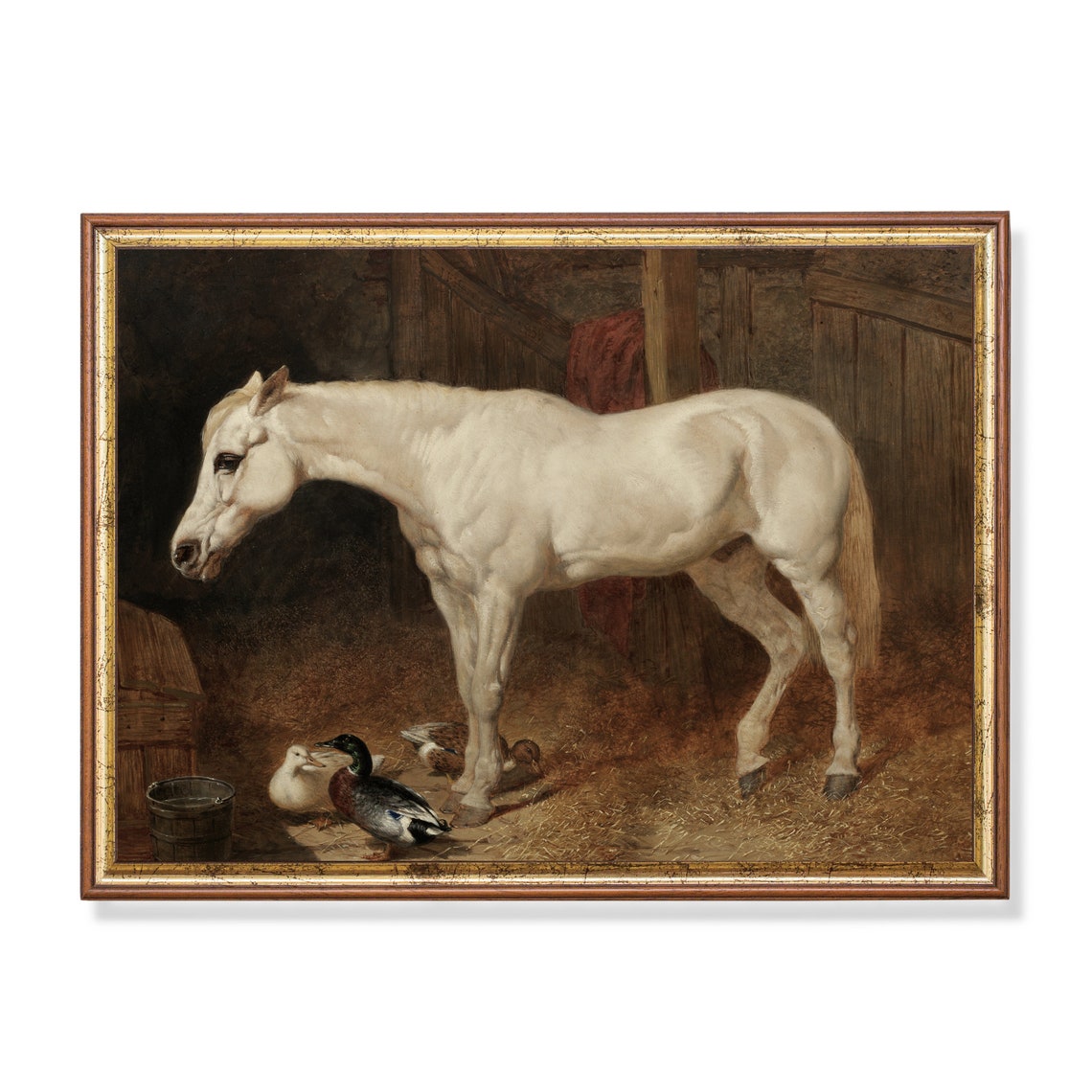White Horse in Stable with Mallard Ducks Antique Animal Print