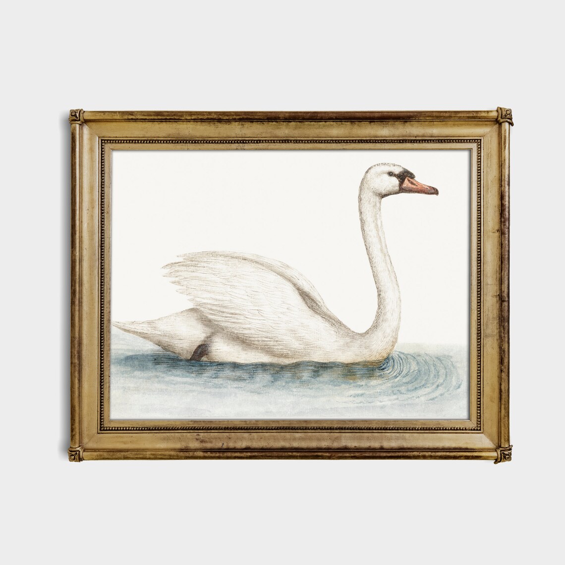 Vintage Swan Painting, Neutral Farmhouse Art Print - Image 2