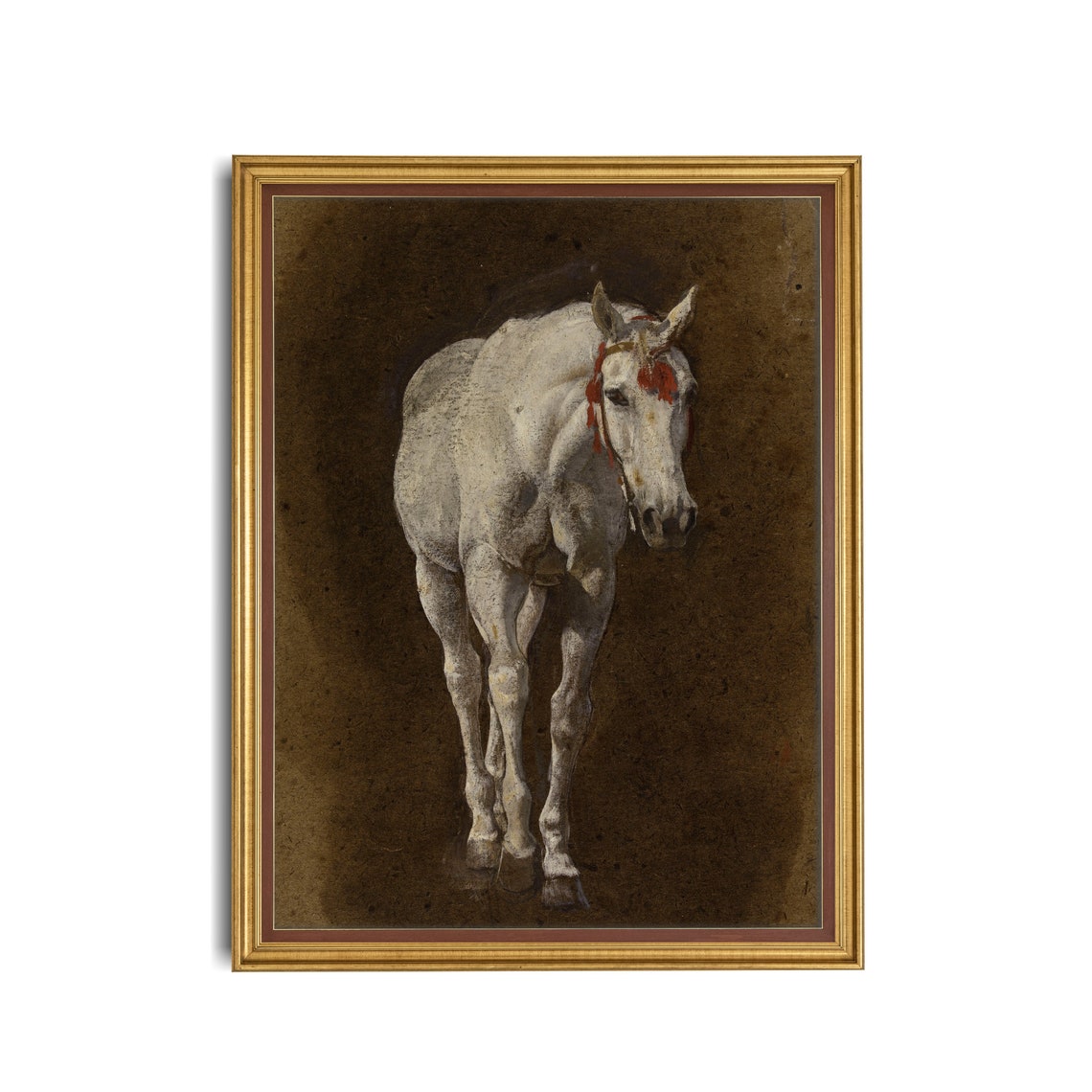 White Horse With a Red Bridle Against a Dark Backdrop Poster - Image 3
