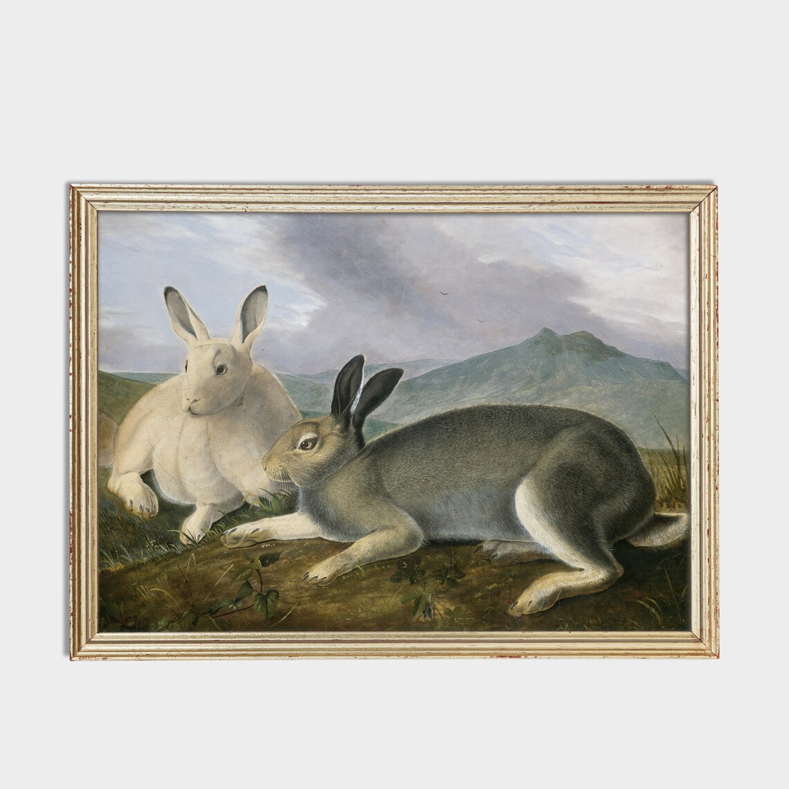 Two Hares Resting in Moorland Mountain Antique Animal Painting Poster - Image 2
