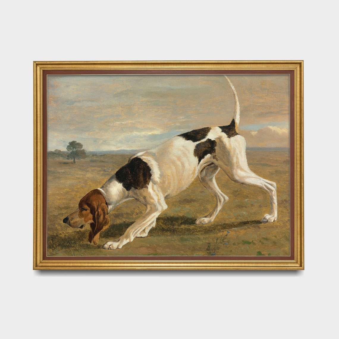 Pointer Dog Stretching in Field Vintage Sporting Dog Painting Poster - Image 3