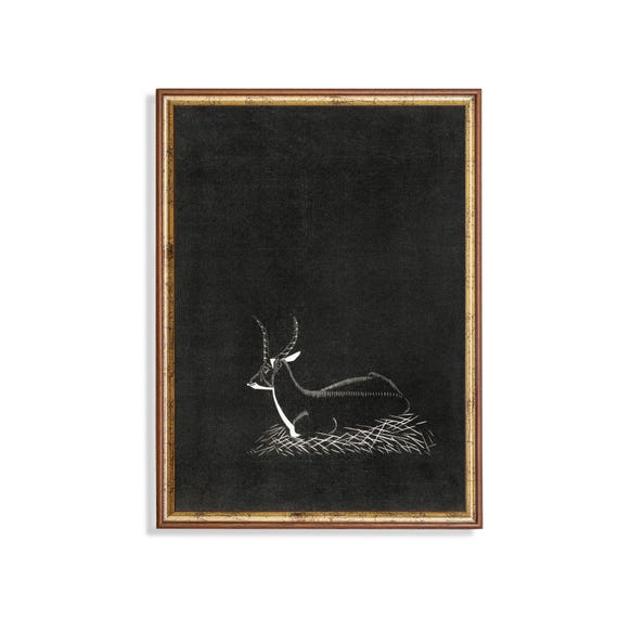 Print And Ship Vintage Waterbuck Print Antique Animal Art Moody Rustic Art Mailed Print Farmhouse Decor Dark Academia