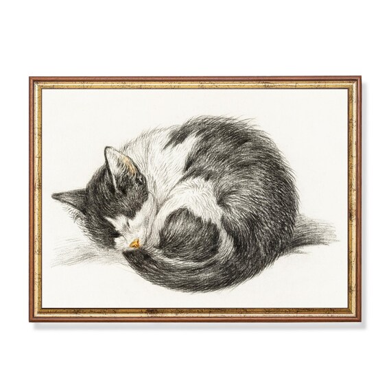 Sleeping Tabby Cat Curled in a Ball Vintage Graphite Sketch Poster
