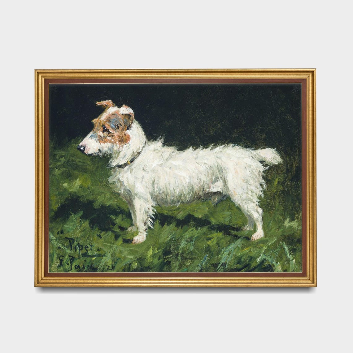 White Terrier Named Piper Standing Alert in Green Grass Poster - Image 5