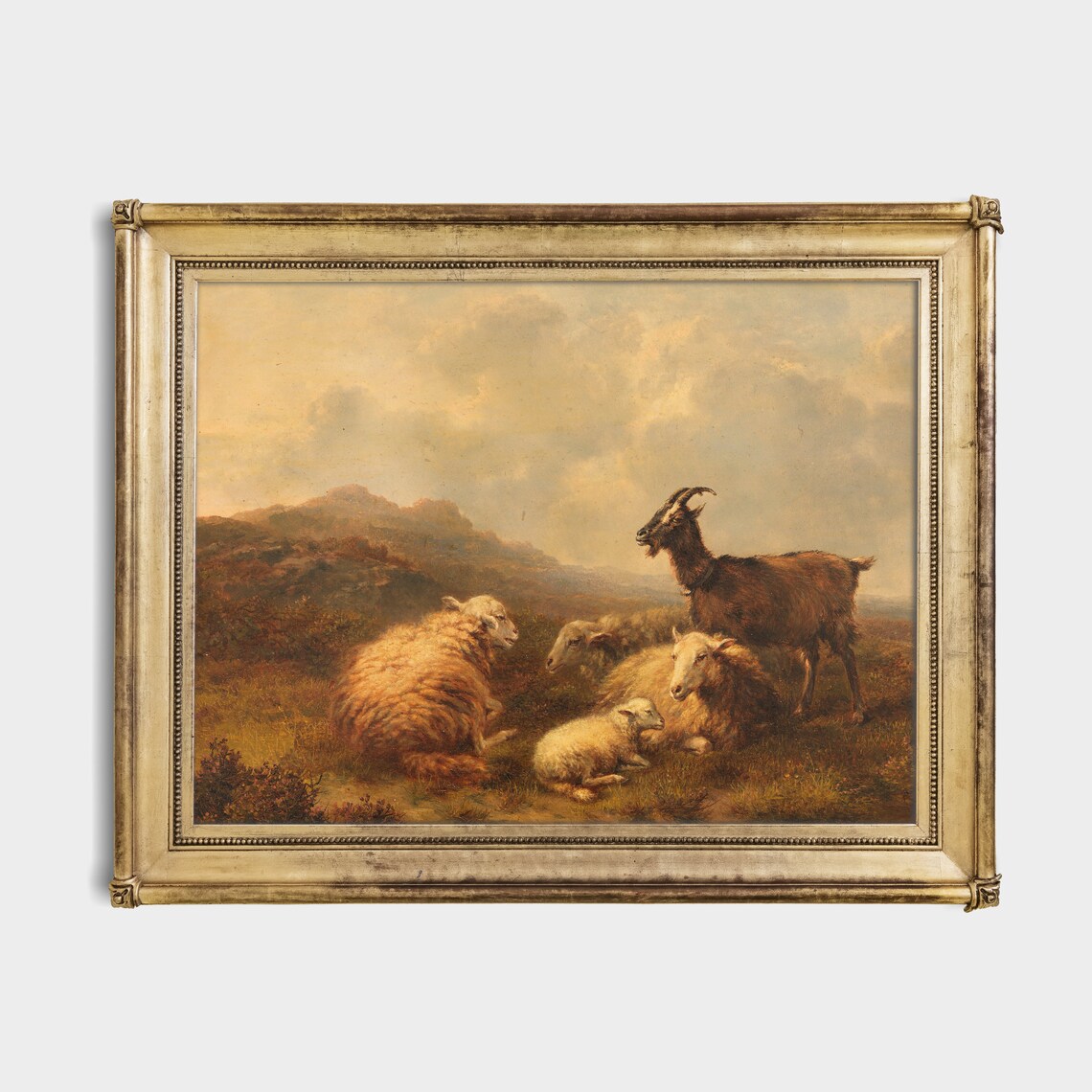 Goat and Sheep Resting in a Highland Pasture Painting Poster - Image 2