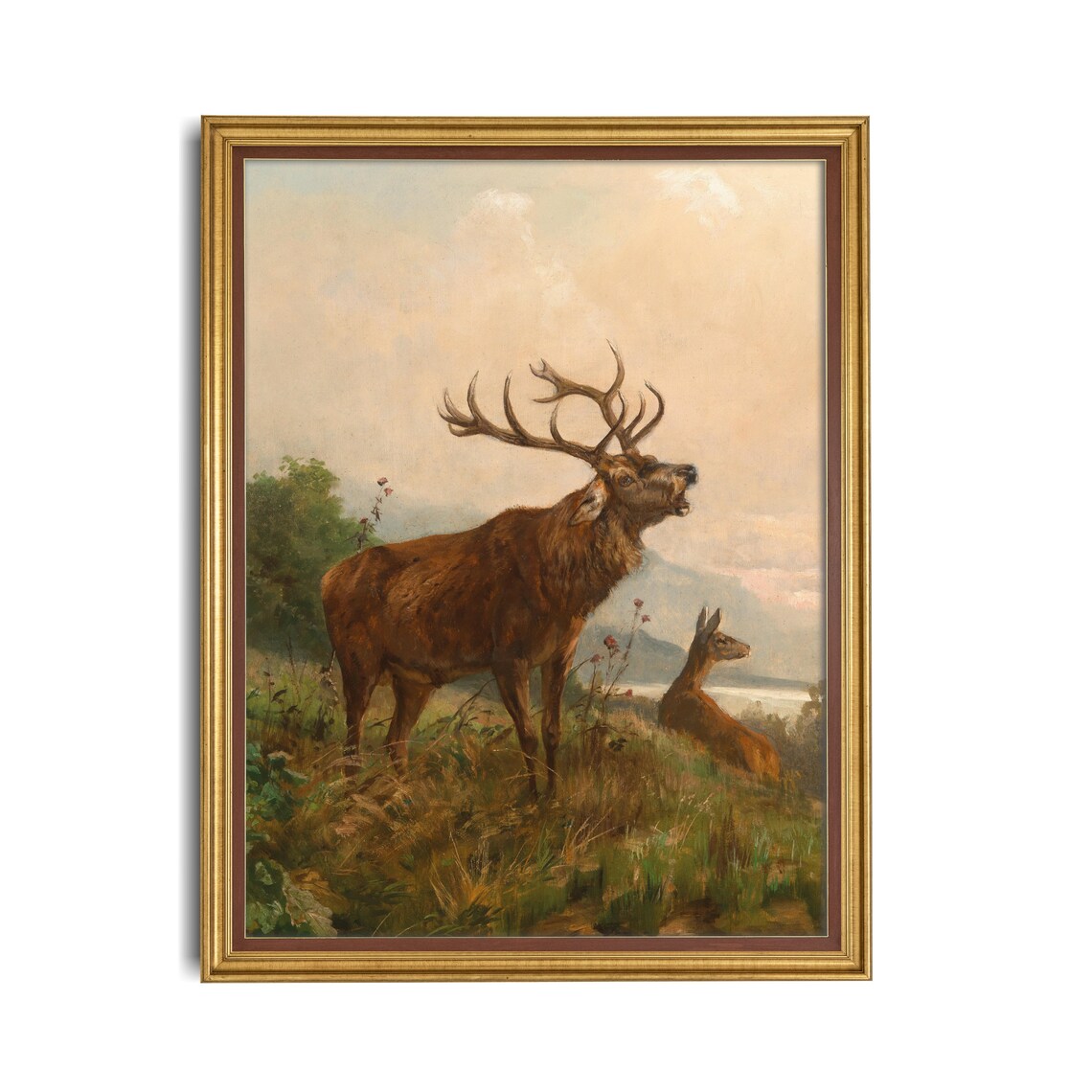 Bellowing Red Deer Stag with Hind Vintage Wildlife Art Poster - Image 2
